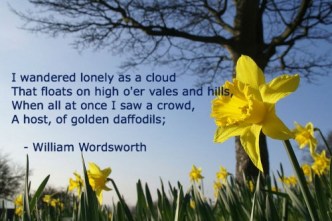 wordsworth-lonely-daffodils1-500x334